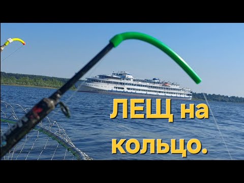 Видео: Где же ты,ЛЕЩ Волжский?Ловля на кольцо 2024.