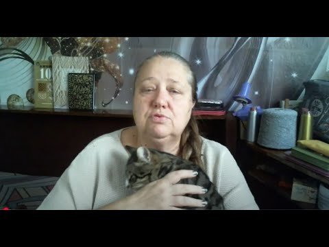 Видео: Тиждень визволення вересень 2025