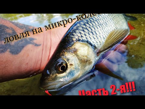 Видео: Ловля голавля на микро-колебалки!!! Часть 2.