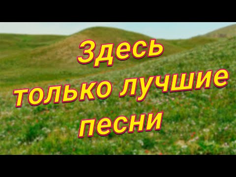 Видео: Заходи и Слушай! Здесь самые Красивые песни!