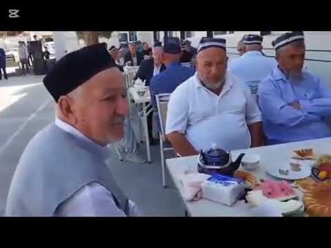 Видео: 10 ноября 2025 г.