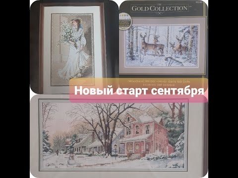 Видео: 22. Новые старты сентября.