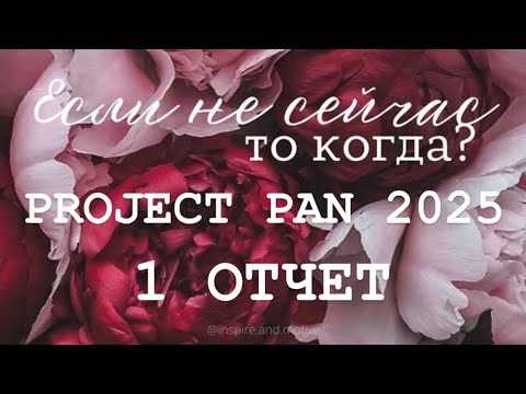 Видео: PROJECT PAN 2025 ОТЧЕТ 1