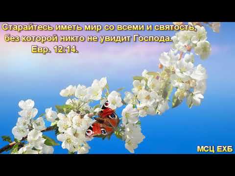 Видео: "Старайтесь иметь мир со всеми". Н. С. Антонюк. МСЦ ЕХБ.