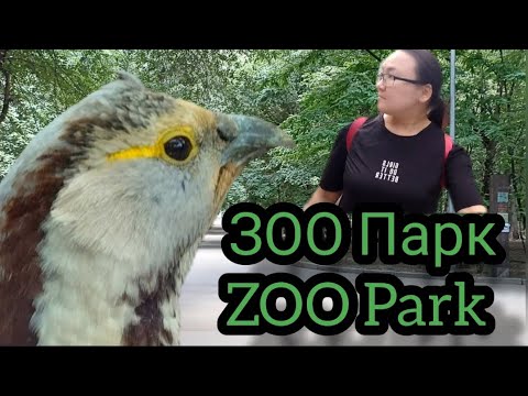 Видео: Алматинский Зоопарк 2025/ Zoo Park Almaty 