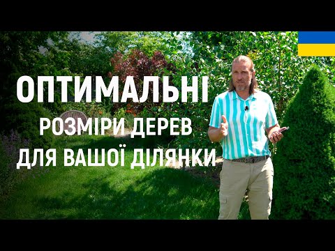 Видео: ЛАНДШАФТНИЙ ДИЗАЙН | ОПТИМАЛЬНІ РОЗМІРИ ДЕРЕВ ДЛЯ ВАШОГО САДУ