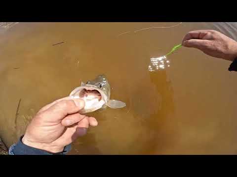 Видео: Рыбалка на резинку. Открыли сезон жидкой воды 2025