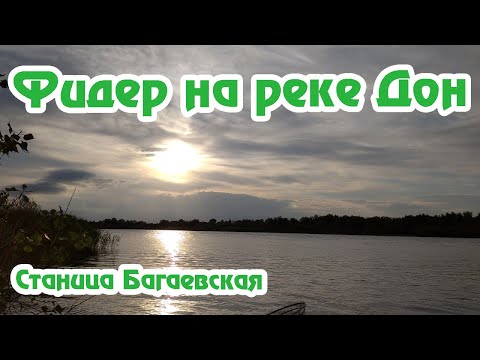 Видео: Фидер на реке Дон / Ночная рыбалка / Рыбалка на большой реке / Станица Багаевская / Фидерная рыбалка