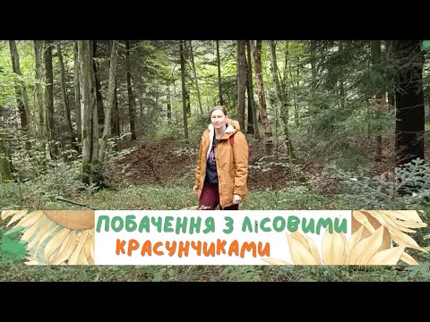Видео: Як ми по Дрогобицьким лісам ходили