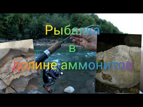 Видео: ГОЛАВЛЬ НА РЕКЕ БЕЛОЙ. РЫБАЛКА В ЛЕСНОЙ СКАЗКЕ.