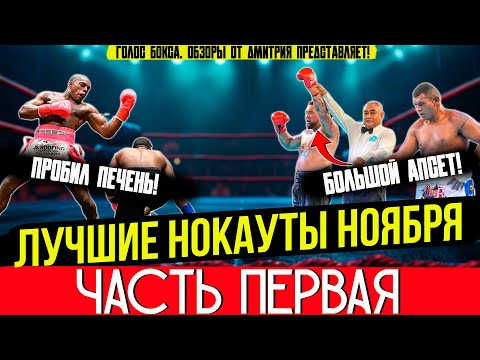 Видео: ЛУЧШИЕ НОКАУТЫ 2025 - БЕСПОЩАДНЫЙ НОЯБРЬ, часть первая