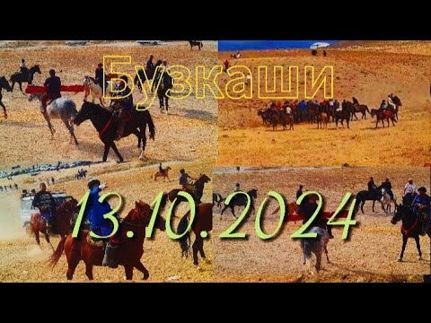 Видео: 13.10.2024 шахри панчкет