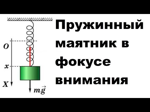 Видео: Пружинный маятник в фокусе внимания