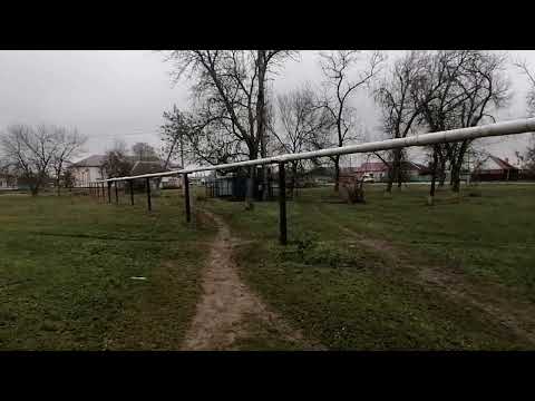 Видео: Станица Бородинская. 19 декабря.