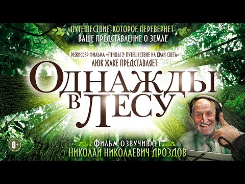 Видео: фильм Однажды в лесу / Сокровенные тайны живой природы HD