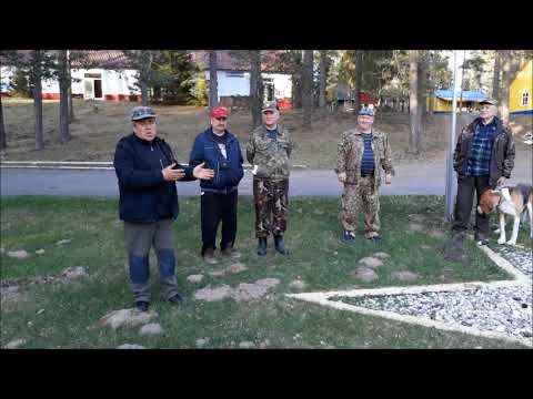 Видео: Состязания гончих собак по зайцу беляку  "Весенние голоса - 2018" ОКУЛОВКА.