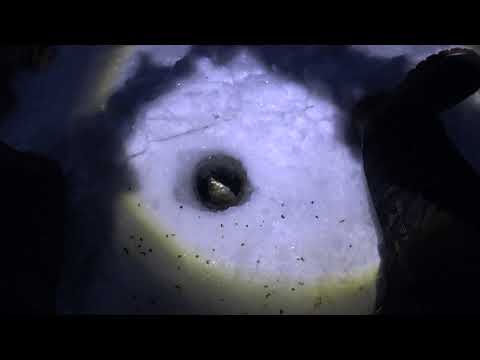 Видео: Белоярское водохранилище, спасалка. Рыбалка 18.02.23