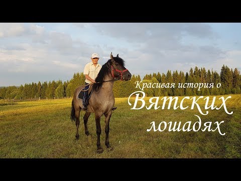 Видео: Вятские лошади. Красивая история одного героического Человека!