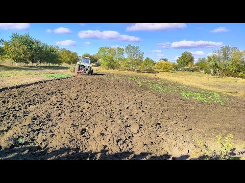 Видео: Наша плодотворная суббота.Огород к зиме готов. Живём в станице.