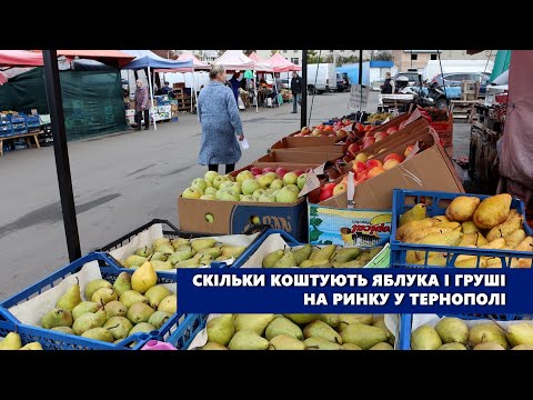 Видео: “Чорний принц”, “Голден”, “Бера”, скільки коштують яблука і груші на ринку у Тернополі