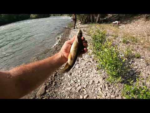 Видео: Коксу "ПОПОВЩИНА" выбрались на рыбалку)))