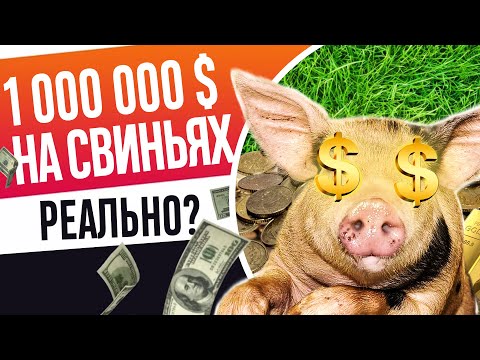 Видео: БИЗНЕС НА СВИНЬЯХ! Как работает свинокомплекс! Как живут свиньи на ферме