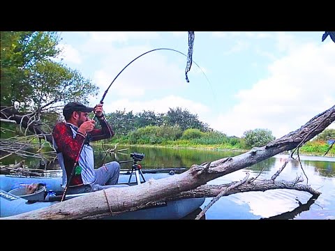 Видео: Опустив в КОРЯГИ Мормишку і Є ПАЛКА в ДУГУ, Велика риба вся ТУТ