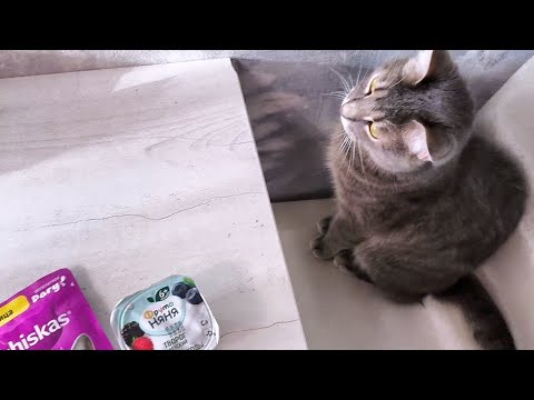 Видео: Влог. На чем удалось сэкономить! Показываю как получаю товары бесплатно!