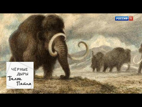 Видео: Черные дыры. Белые пятна. Эфир от 21.02.19 / Телеканал Культура