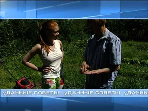 Видео: Органическое земледелие - уДачные советы