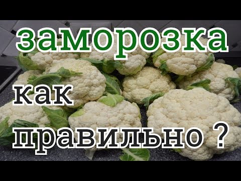 Видео: ЦВЕТНАЯ КАПУСТА КАК ПРАВИЛЬНО ЗАМОРОЗИТЬ ПОЛЬЗА ДЛЯ ЗДОРОВЬЯ