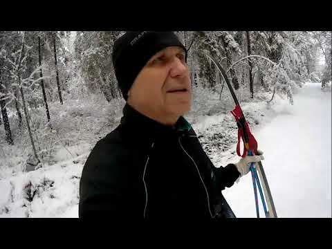 Видео: 01. 11 23 г. Лыжи.  Первый снег, вкатка.