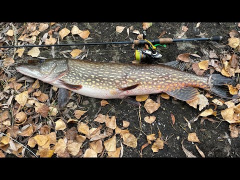 Видео: Головне не хто зловив Головне з ким It’s not about who caught the fish. It’s about who you fish with