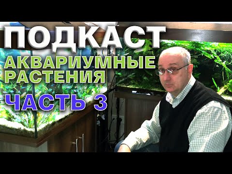 Видео: Аквариумные растения. Большой подкаст с А. Ершовым. Часть 3