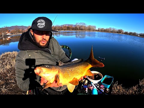 Видео: ШАРАНИ В ЛЕДЕНА ВОДА- ТЕХНИКА КОЯТО ВИНАГИ РАБОТИ