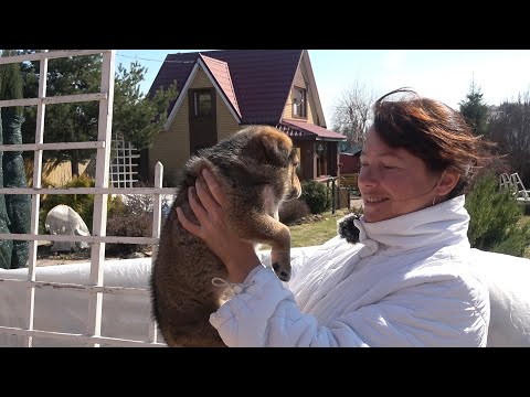 Видео: Знакомьтесь, Марта