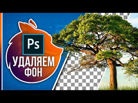 Видео: Как УБРАТЬ ФОН С КАРТИНКИ в Фотошопе? // 2 Самых крутых способа!