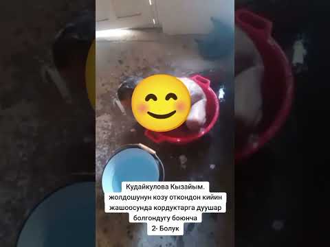 Видео: Кудайкулова Кызайымдын олко жетекчилерине кайрылуусу