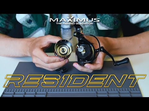 Видео: Обзор катушки Maximus Resident