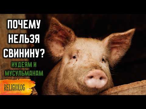 Видео: Почему иудеи и мусульмане не едят свинину? Кошер, Халяль