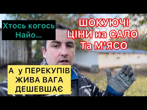 Видео: ШОКУЮЧІ ЦІНИ на Сало та МʼЯСО, А Жива вага У ПЕРЕКУПІВ ДЕШЕВШАЄ, Майте СОВІСТЬ