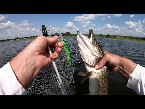 Видео: Щука просто изголодалась.Берёт на Всё!!! Рыбалка с лодки . Ловля щуки в июне  .Рыбалка на щуку.