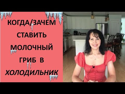 Видео: Когда и Зачем ставить молочный гриб в холодильник. 10 ч.