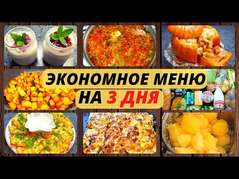 Видео: 498 р. в день на еду. Мои идеи экономного меню на семью из 4 человек. Экономное меню.