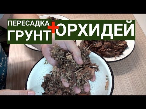 Видео: ПЕРЕСАДКА и ГРУНТ для ОРХИДЕИ 1-я часть