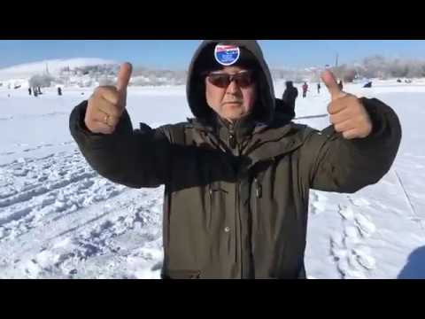 Видео: Чемпионат Мира по момрмышке. Казахстан. 1 тур.