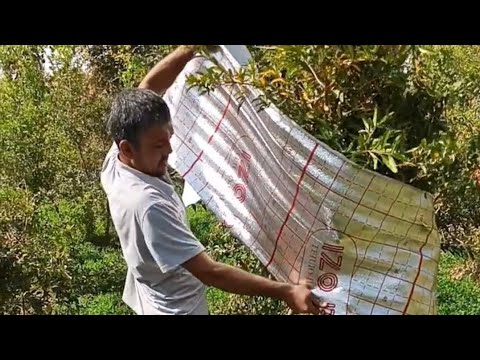 Видео: Анорларга Кузги шакил Бериш ва К,ишги совук уришдан сак,лаш 