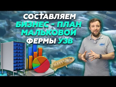Видео: Как составить ЭФФЕКТИВНЫЙ БИЗНЕС ПЛАН мальковой фермы УЗВ? | Бизнес идеи