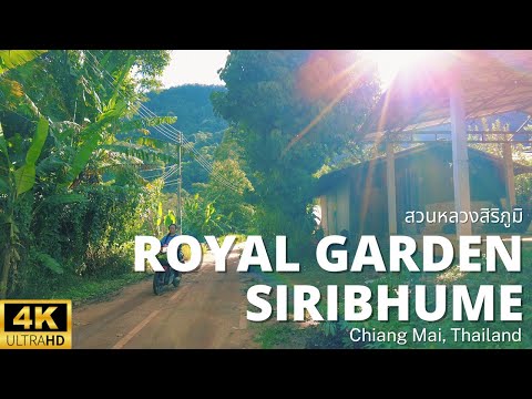 Видео: Дой Интанон Прогулка 4K UHD | Королевский сад Сирибхьюм | Чиангмай, Таиланд