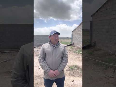 Видео: Шолақ қорған қаласынада 100кв шылаушын алған ағамыздын қожалығындамыз 👍87763128427 Талғат
